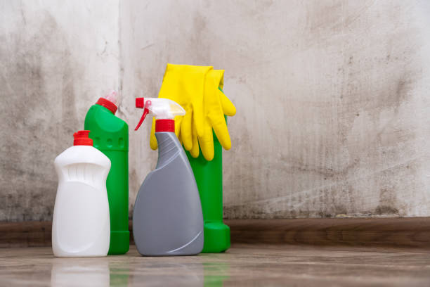 Mold Odor Removal Services in Shelbyville, TN